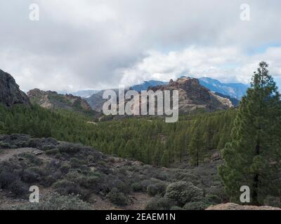 Vue panoramique sur un paysage incroyable au parc Roque Nublo de Montagnes centrales intérieures du sentier de randonnée famoust Gran Canaria avec pins verts et Banque D'Images