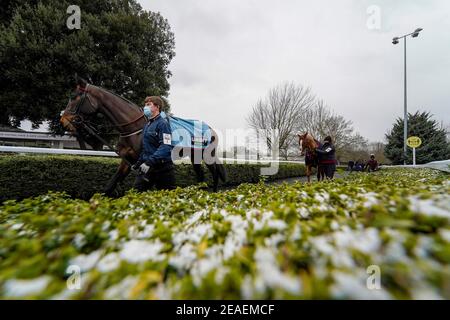 Une vue générale du cheval Balco Coastal (à gauche) se rend au défilé avant de gagner la course standard Open NH Flat Race vbet.co.uk (GBB Race) (Div 1) à l'hippodrome de Kempton. Date de la photo: Mardi 9 février 2021. Banque D'Images