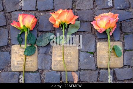 Des roses ont été posées sur les mémoriaux de Stolperstein aux victimes de l'Holocauste à Berlin Banque D'Images