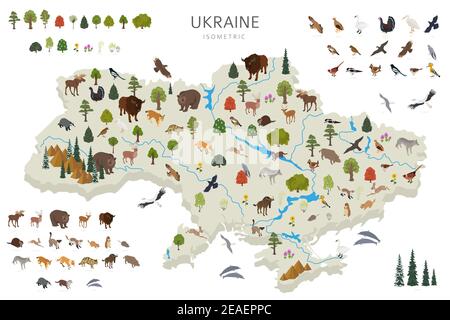 Conception 3D isométrique de la faune de l'Ukraine. Animaux, oiseaux et plantes éléments constructeurs isolés sur un ensemble blanc. Créez vos propres infographies géographiques c Illustration de Vecteur