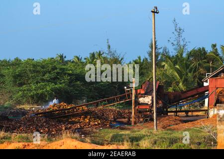 indian farmer watering coconut husk to make coir rope which is made from natural fiber which is extracted from outer husk of coconut Banque D'Images