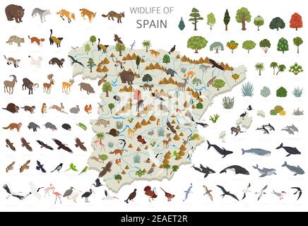 Conception 3D isométrique de la faune espagnole. Animaux, oiseaux et plantes éléments constructeurs isolés sur un ensemble blanc. Créez votre propre infocol graphique de géographie Illustration de Vecteur