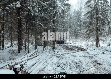 exploitation forestière illégale, récolte de bois pour l'industrie manufacturière, transport chargé de troncs d'arbres abattus, transport de bois en hiver Banque D'Images