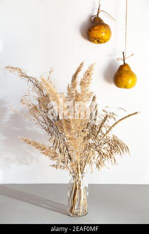 Encore la vie moderne avec l'herbe de pampas dans un vase en verre et des poires. Composition minimale sur fond clair. Banque D'Images