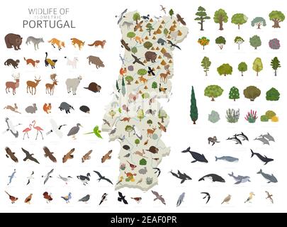 Conception 3D isométrique de la faune du Portugal. Animaux, oiseaux et plantes éléments constructeurs isolés sur un ensemble blanc. Créez vos propres infographies géographiques Illustration de Vecteur