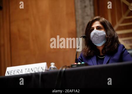 Neera tanden, directeur du Bureau et de la gestion et du budget (OMB) désigné pour le président américain Joe Biden, portant un masque de protection lors d'une audience de confirmation du Comité sénatorial de la sécurité intérieure et des affaires gouvernementales à Washington, DC, États-Unis, le mardi 9 février 2021. Tanden, qui s’est engagé à travailler avec les deux partis après avoir tiré de vives critiques de la part des Républicains pour leur avoir arraché des snippes sur les médias sociaux, a travaillé sur l’Affordable Care Act pendant les années Obama et a été un aide à Hillary Clinton à partir de sa première dame. (Photo de Ting Shen/Pool/Sipa USA) Banque D'Images