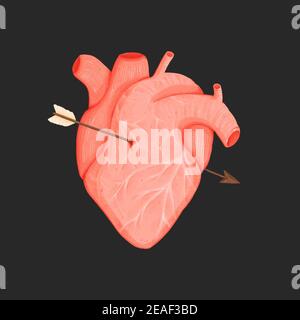 Coeur humain avec flèche de Cupid isolée sur fond noir. Illustration dessinée à la main Banque D'Images