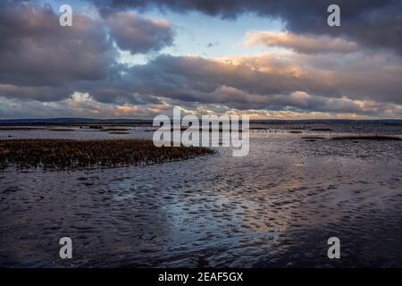 Les nuages du soir se réfléchissent sur la boue et l'eau dans la région de Skern de Northam Burrows, près de Appledore, North Devon. Banque D'Images