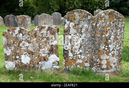 Communauté de lichen riche et coloré sur les pierres tombales dans un Kent cimetière Banque D'Images