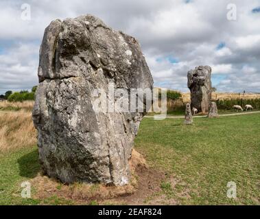 Mégalithes dans le périmètre de terre d'Avebury Royaume-Uni le monde plus grand cercle de pierre néolithique Banque D'Images