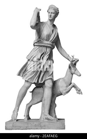 Statuette classique en marbre blanc Diana de Versailles isolée sur fond blanc. Scilpture de huntress avec le cerf Banque D'Images