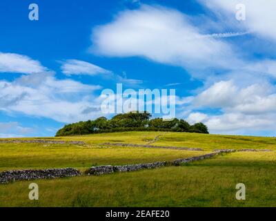 Arbres à Minninglow un lieu de sépulture préhistorique néolithique près de Parwich Dans le parc national de Peak District Derbyshire Dales Angleterre Royaume-Uni Banque D'Images