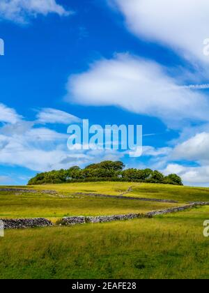 Arbres à Minninglow un lieu de sépulture préhistorique néolithique près de Parwich Dans le parc national de Peak District Derbyshire Dales Angleterre Royaume-Uni Banque D'Images