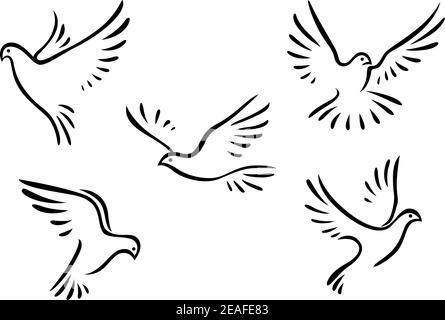 Jeux de colombes et de pigeons pour le concept de paix et le design de mariage Illustration de Vecteur