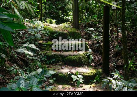 Chemin avec escaliers dans la nature Banque D'Images