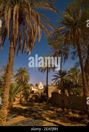Oasis dans la vieille ville, Tripolitaine, Ghadames, Libye Banque D'Images