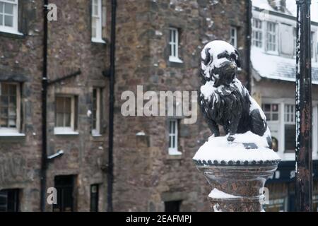 La statue de Greyfriars Bobby recouverte de neige Banque D'Images