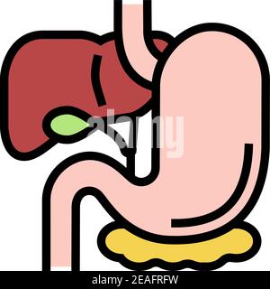 illustration vectorielle de l'icône de couleur du tractus gastro-intestinal Illustration de Vecteur