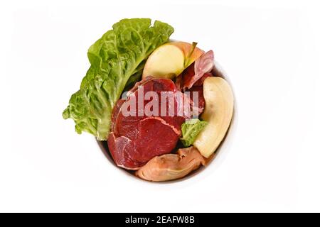 Vue de dessus du bol pour chien avec mélange d'aliments crus biologiquement appropriés contenant des morceaux de viande, du poisson, des fruits et des légumes isolés sur le backgroun blanc Banque D'Images