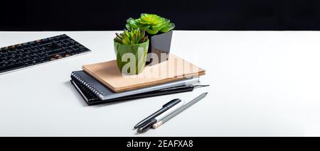 Bureau fleurs artificielles succulents dans de petits pots. Aménagement paysager du lieu de travail à la maison et au bureau. Fleurs succulentes. Bloc-notes avec clavier au bureau à domicile Banque D'Images