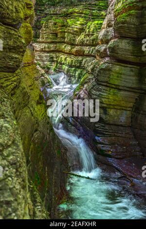 La rivière Garrafo coule rapidement et de façon écrasante entre les hautes parois du Gole del Garrafo. Gran Sasso et Monti della Laga National Park, Marche, I Banque D'Images