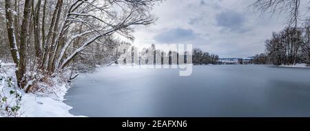 Paysage d'hiver. Lac gelé et arbres Banque D'Images
