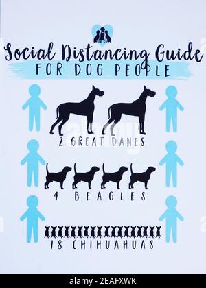 Guide social de distanciation pour les chiens drôle de signe dans le Maine Banque D'Images