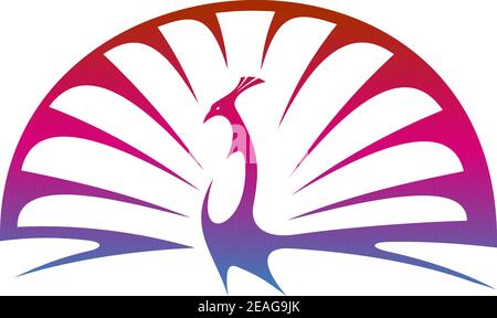 Illustration moderne stylisée d'un paon fier faisant un accouplement affichage avec plumes de queue étalées dans des tons de violet dégradé Illustration de Vecteur