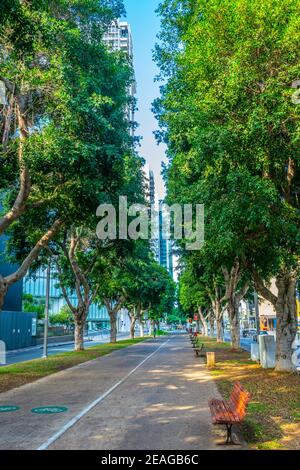 Vue sur le boulevard rotschild à tel Aviv, Israël Banque D'Images