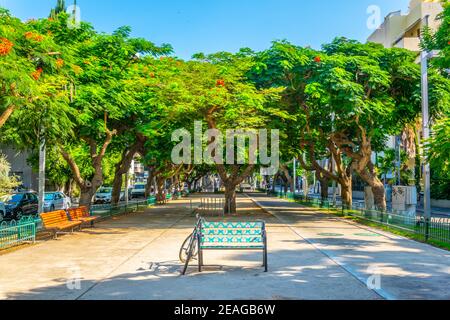 boulevard rotschild à tel Aviv, Israël Banque D'Images