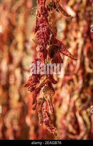 Gros plan de piment rouge séché suspendu sur le marché En Turquie Banque D'Images