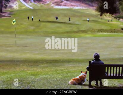 Une femme assise sur un banc avec son chien sur l'herbe à côté d'elle regardant les golfeurs s'approcher d'un vert. Banque D'Images