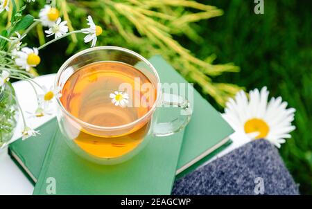 Verre de tisane avec fleur de camomille sur les livres, praid vert chaud, bouquet de pâquerettes rustiques sur la table extérieure. Petit déjeuner de loisirs romantique avec Banque D'Images