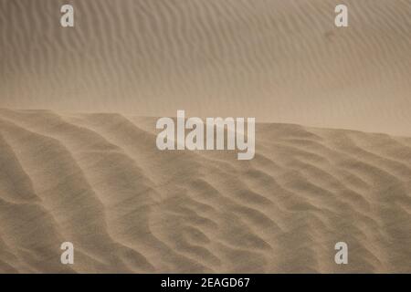 Sable doré dunes du désert de sable changeant de forme déplacé par le vent Banque D'Images