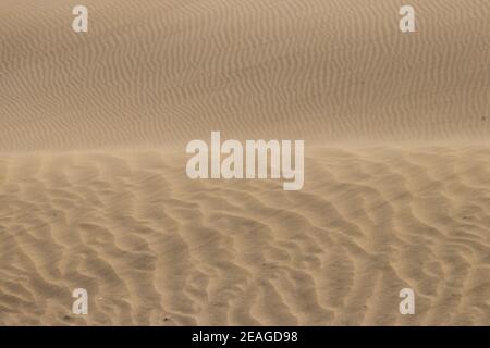 Sable doré dunes du désert de sable changeant de forme déplacé par le vent Banque D'Images