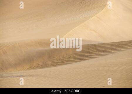 Dunes de désert en forme d'or déplacées par le vent Banque D'Images
