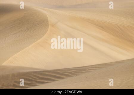 Dunes de désert en forme d'or déplacées par le vent Banque D'Images