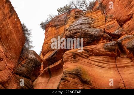 Le magnifique canyon à fente étroite connu sous le nom de Red Canyon, alias Peek-a-Boo Canyon, près de Kanab, Utah, États-Unis Banque D'Images