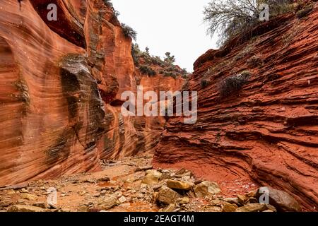 Le magnifique canyon à fente étroite connu sous le nom de Red Canyon, alias Peek-a-Boo Canyon, près de Kanab, Utah, États-Unis Banque D'Images