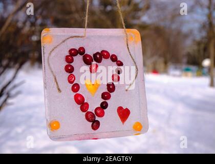 Tableau d'art glacé d'un coeur fait à partir de Fruits congelés dans de la glace suspendus dans des arbres dans le parc Ottawa Banque D'Images
