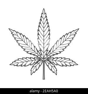 Icône de la feuille de marijuana ou de la feuille de cannabis Illustration de Vecteur