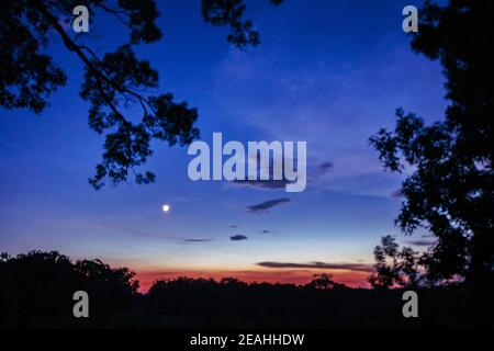 Fond de ciel avec mise au point sur la lune qui s'élève à mesure que les couleurs du coucher de soleil s'estompent. Contient des membres d'arbre au premier plan en silhuette qui sont hors foyer. Banque D'Images