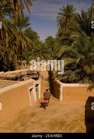 La vieille ville de l'oasis, Tripolitaine, Ghadames, Libye Banque D'Images