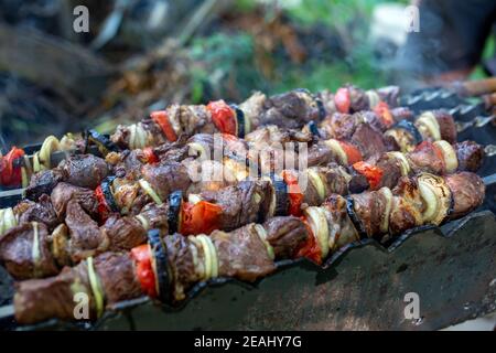 Brochettes non cuites dans la nature sur des brochettes en plein air. Shashlyk Banque D'Images