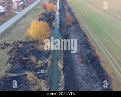 Canal d'irrigation avec des roseaux le long de la rive. Des cendres dans l'herbe. Banque D'Images