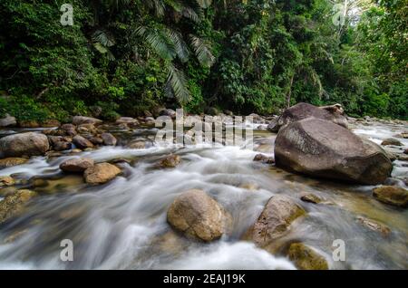 Écoulement lent de l'eau dans la rivière à Sungai Sedim Banque D'Images