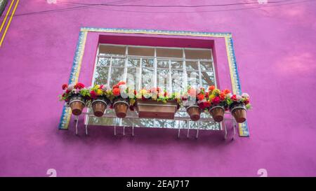 Fleurs colorées à l'extérieur de la fenêtre d'une maison rose Banque D'Images