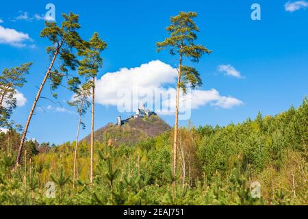Château de Bezdez en Bohême centrale, République tchèque Banque D'Images