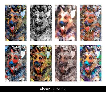 Illustration colorée de berger allemand créée à l'aide de différentes techniques artistiques de pinceaux et les médias Banque D'Images