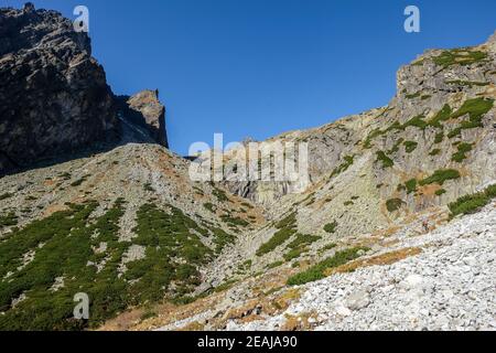 Grande vallée froide à High Tatras, Slovaquie. Banque D'Images